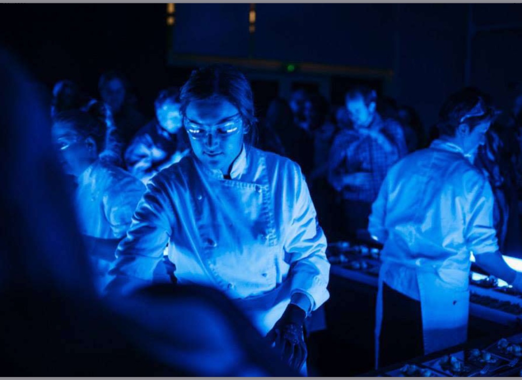 Blue-lit immersive dining experience