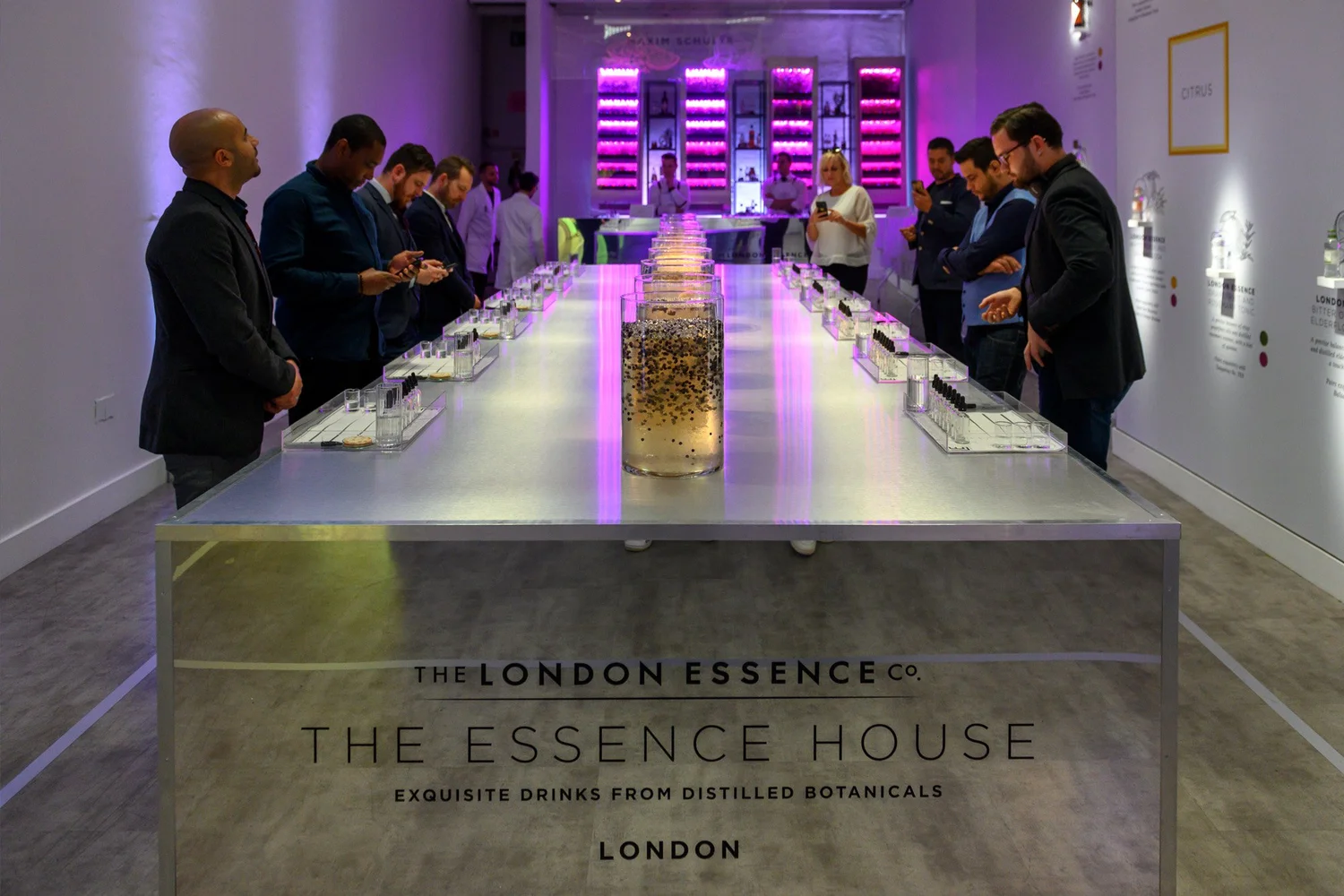 Purple-lit London Essence tasting experience