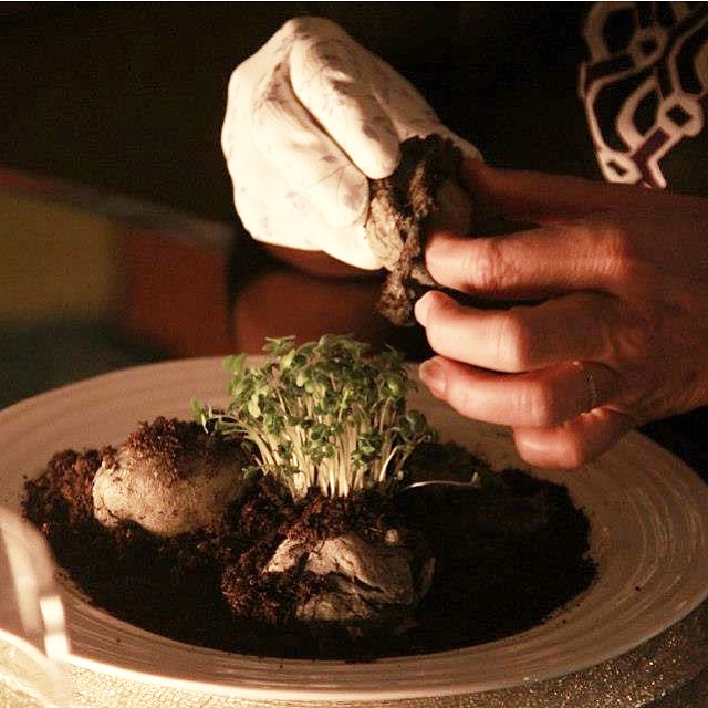 Chef plating an immersive dining course
